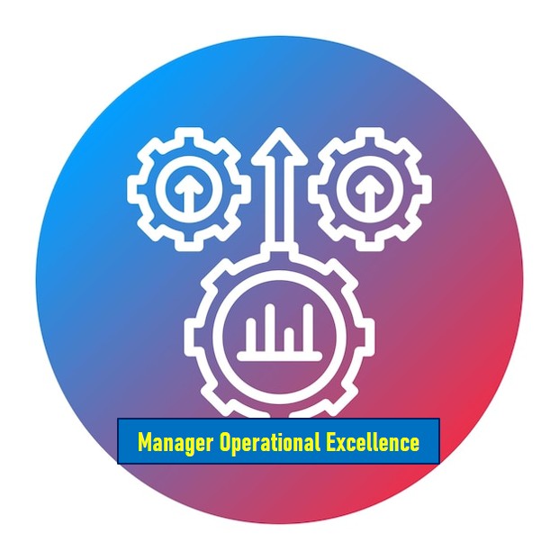 Manager Operational Excellence